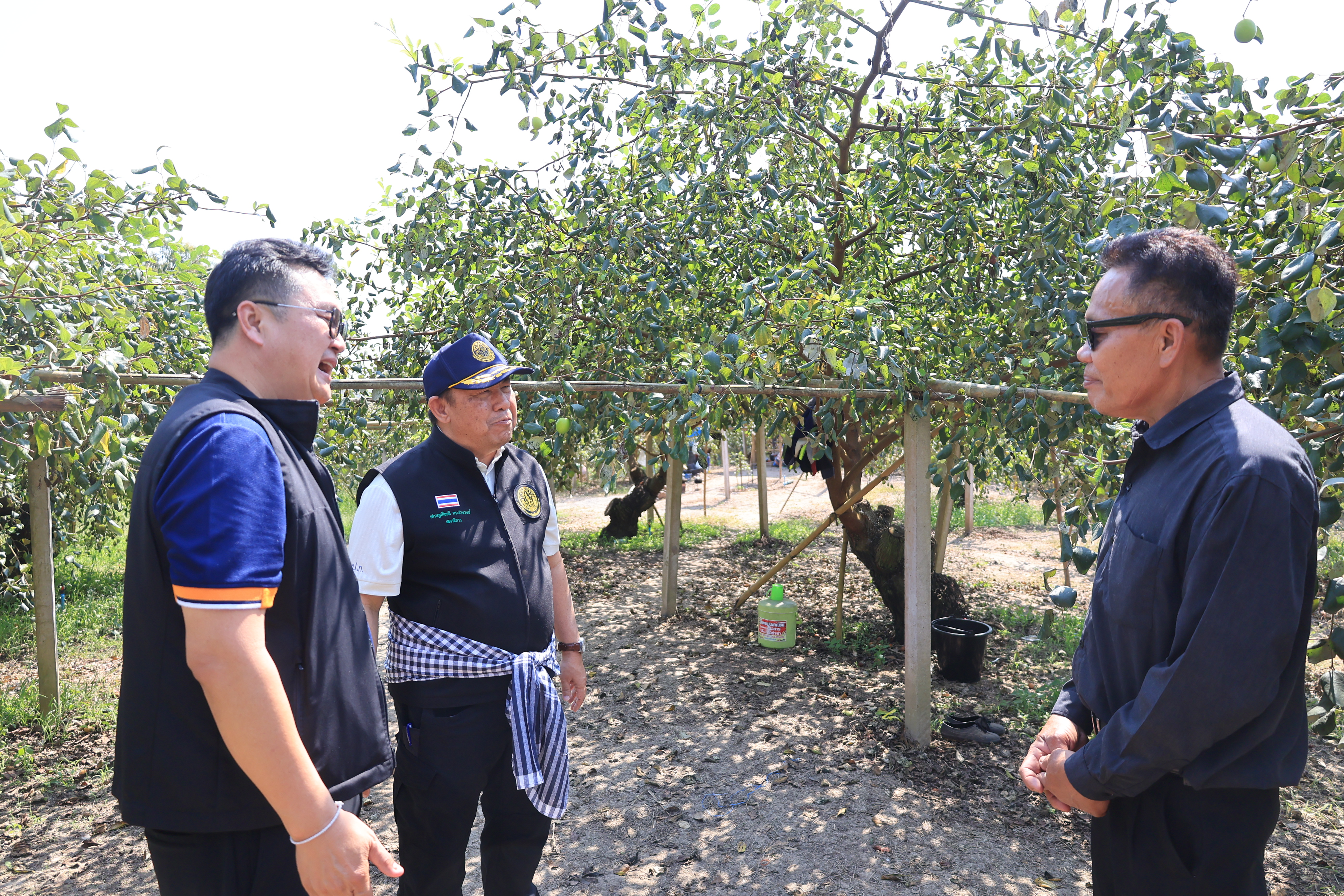 title - เลขาธิการ ส.ป.ก. และคณะ ตรวจเยี่ยมกลุ่มปลูกพุทรา บ้านท่าดีหมี หมู่ที่ 4 ต.ปากตม อ.เชียงคาน จ.เลย